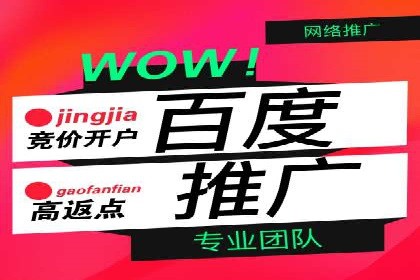 竞价推广SEM托管案例：如何快速提升网站流量